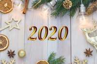 С наступающим Новым 2020 Годом и Рождеством!