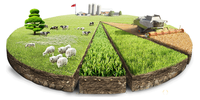 Налог на земли сельхозназначения могут увеличить