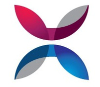 Утверждены размеры вступительного и членского взносов на 2026 год, а также сроки плановой проверки членов Ассоциации СРОО «СВОД» на 2026 год